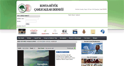 Desktop Screenshot of camlicalilardernegi.com