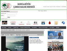 Tablet Screenshot of camlicalilardernegi.com